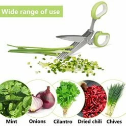 Herb Cutter Scissors 5 Blade Scissors Kitchen Multipurpose Cutting Shear With 5 Stainless Steel Blades & Safety Cover & Cleaning Comb Cilantro Scissors Sharp Shredding Shears Christmas Gift (Green) -Samsung Shop 51Th gvv9PL